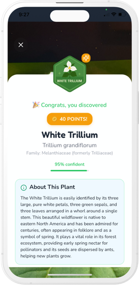 Identification result